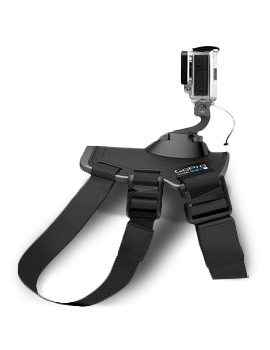 GoPro Fetch Dog Harness - All GoPro Cameras