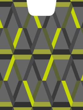 OtterBox MySymmetry Series Swappable Design Insert