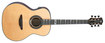 Luna - Art Nouveau 6-string Full-size Grand Auditorium Guitar - Oak